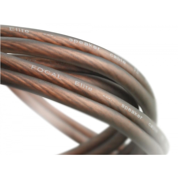 Cabo Paralelo FOCAL Elite ES15 - ES15