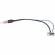 Adaptador de Antena Amplificada EXPEX March/X-Terra/Tiida/Sentra/Versa/Kicks - EXC011